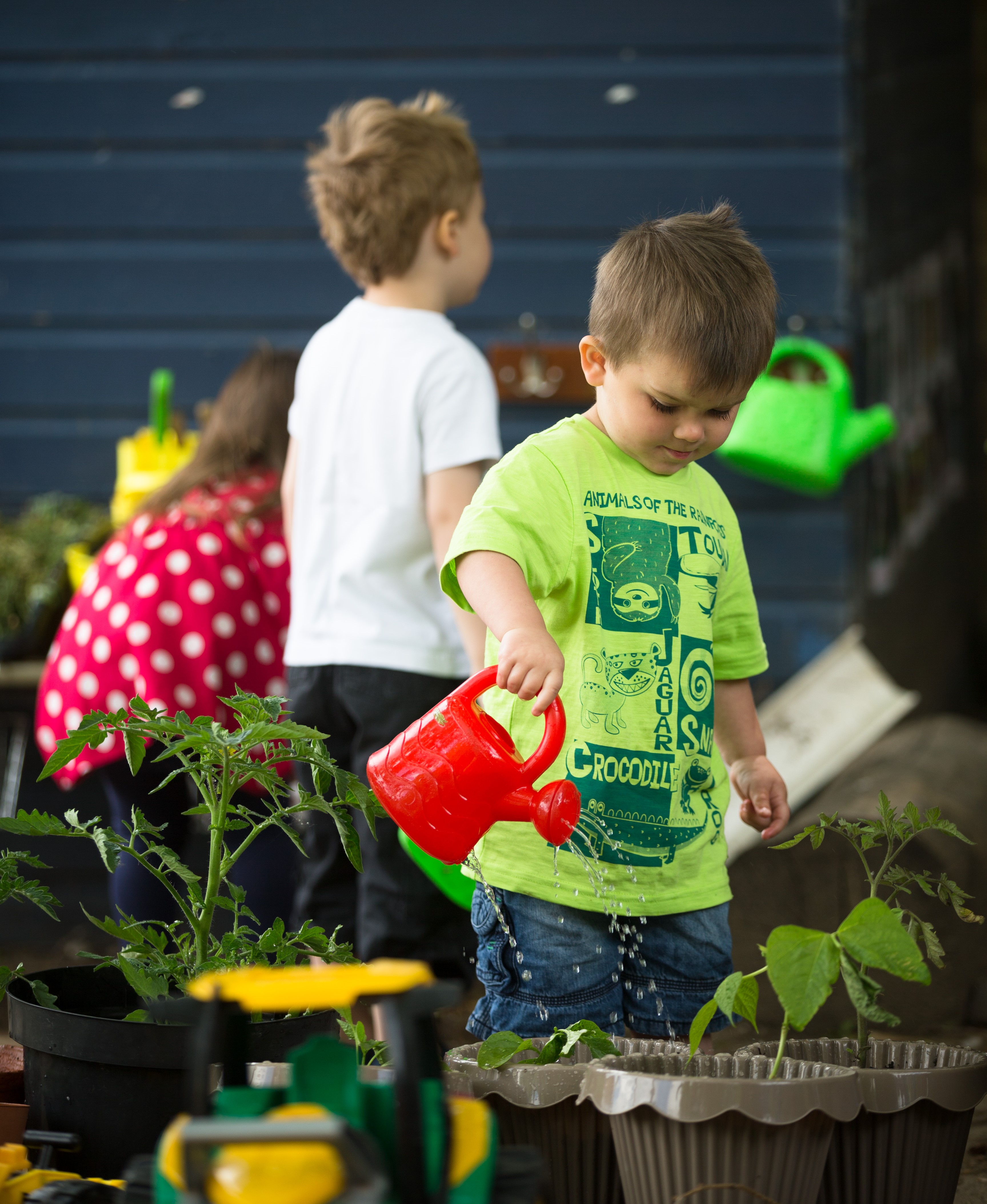 Boy watering plants Boy watering plants