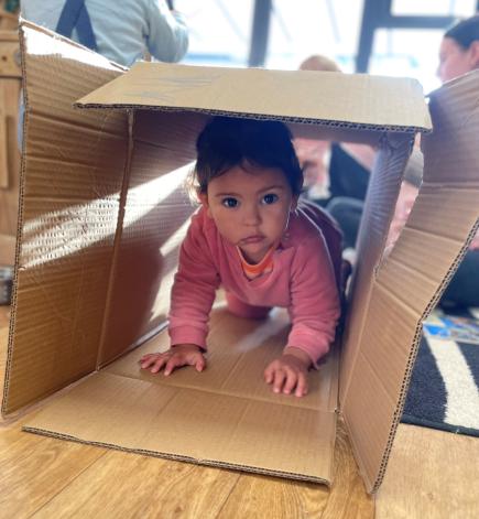 Toddler crawling through cardboard box