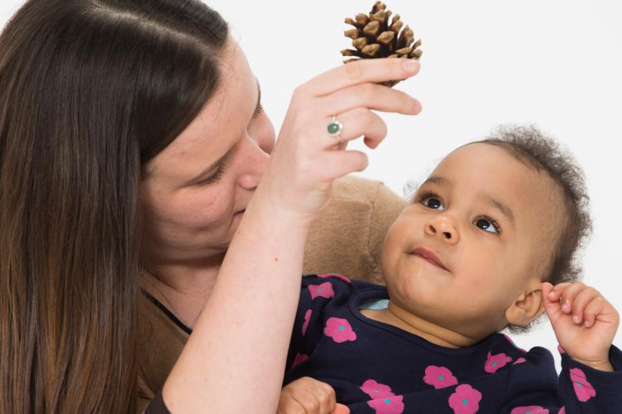 Looking at pinecone together